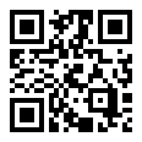 qr-epilepsja-eu